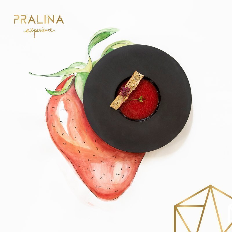 pralina_illustration