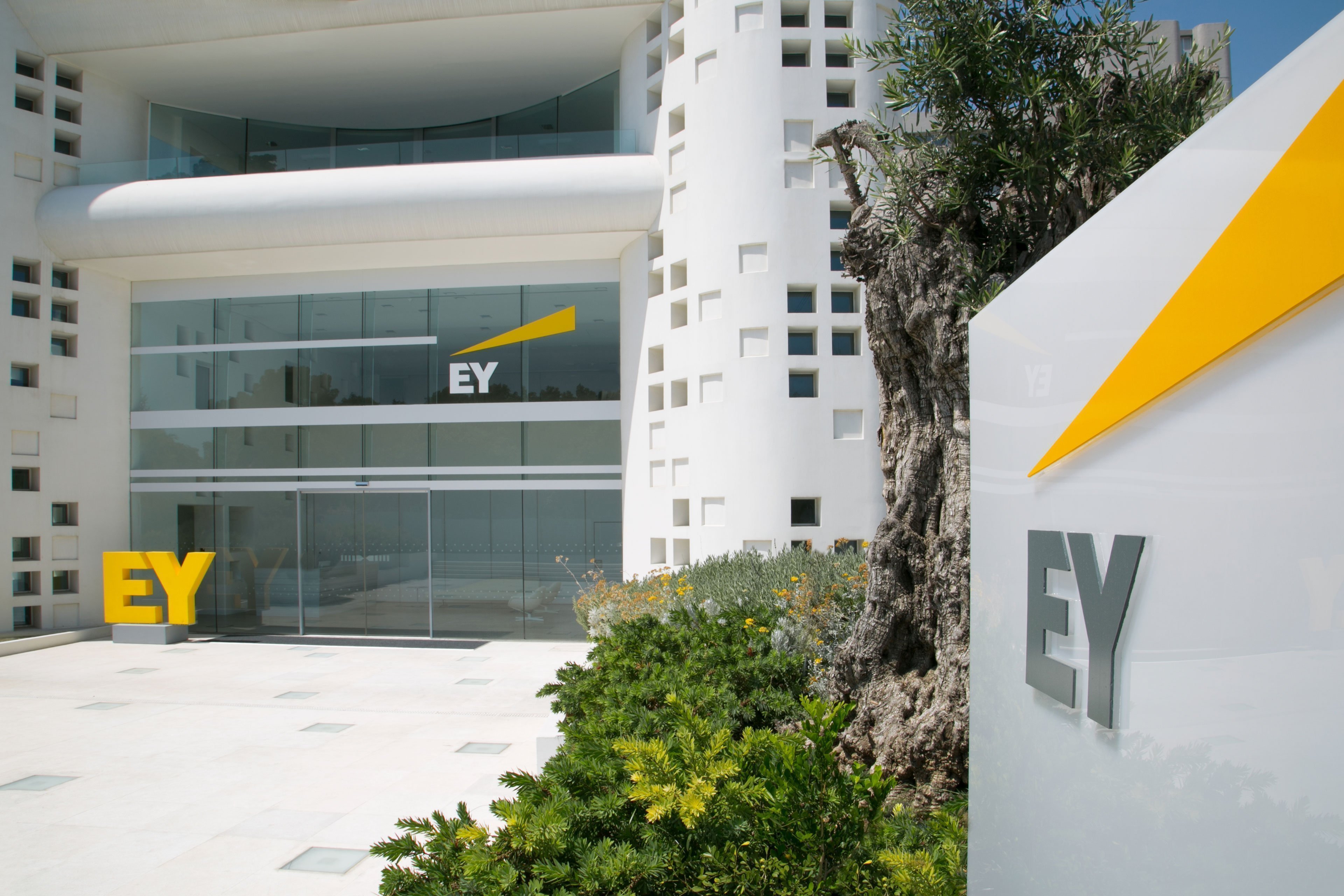 Ernst & Young -  Corporate Video Production