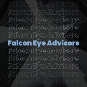 Falconeye Advisors Web Development